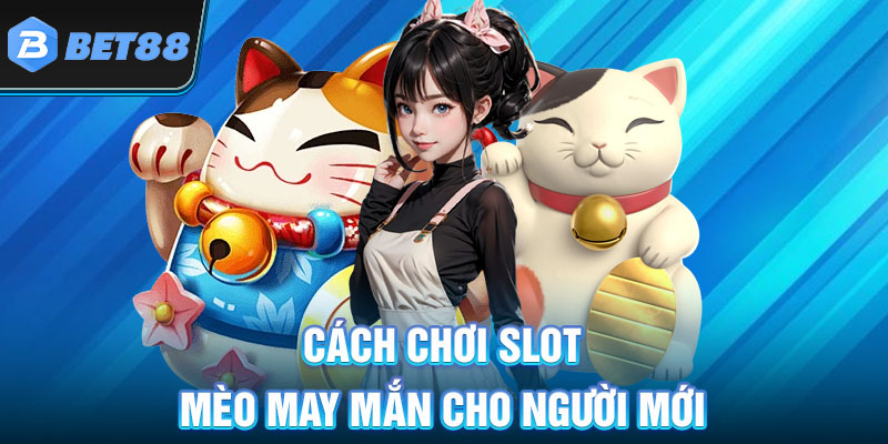 Cách chơi slot mèo may mắn cho người mới